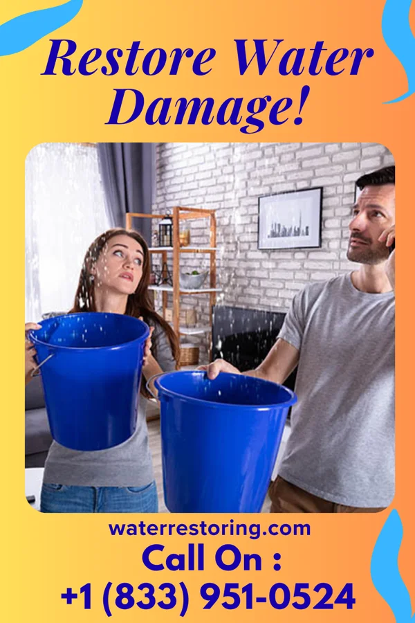 water restoration Southern Sewage Cleanup Co Argyle