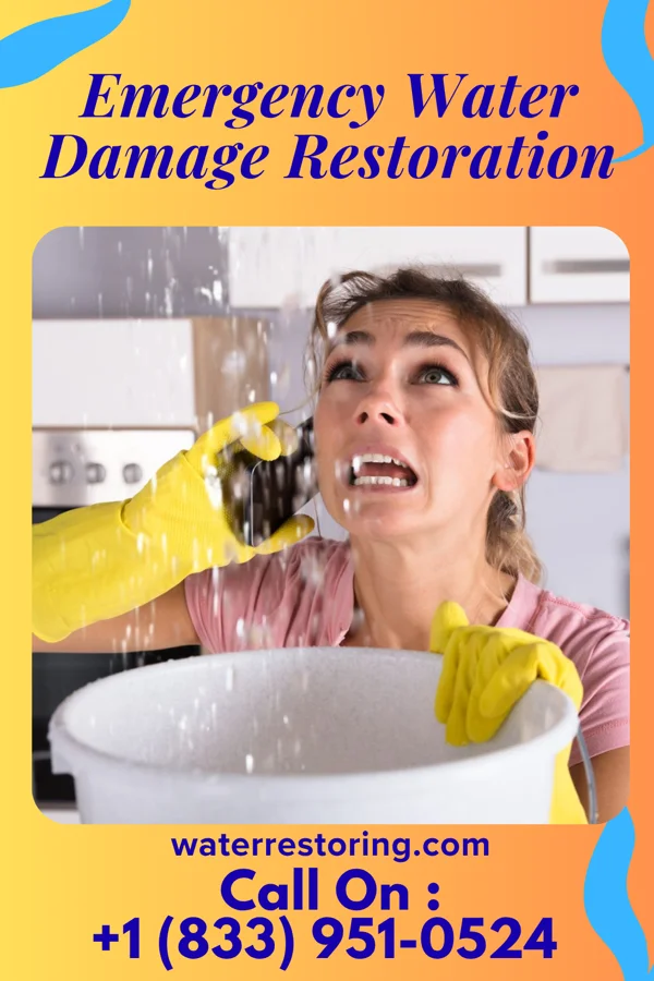 Emergency Water Damage Restoration in Argyle, GA